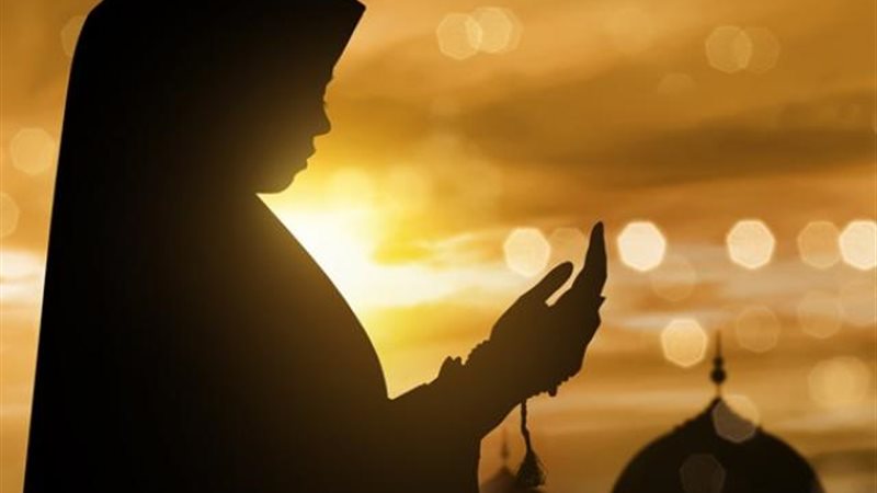 الموجز