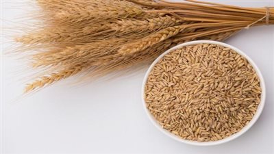 7 فوائد لجنين القمح منها الوقاية من التشوهات الخلقية