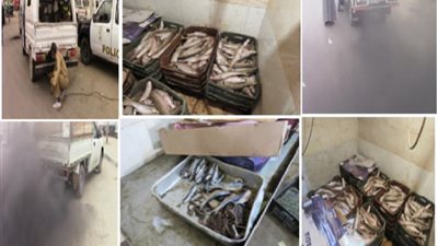 حصاد حملات الإدارة العامة لشرطة البيئة والمسطحات خلال 24 ساعة