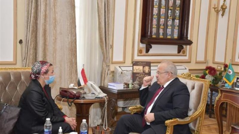 لقاء رئيس جامعة القاهرة