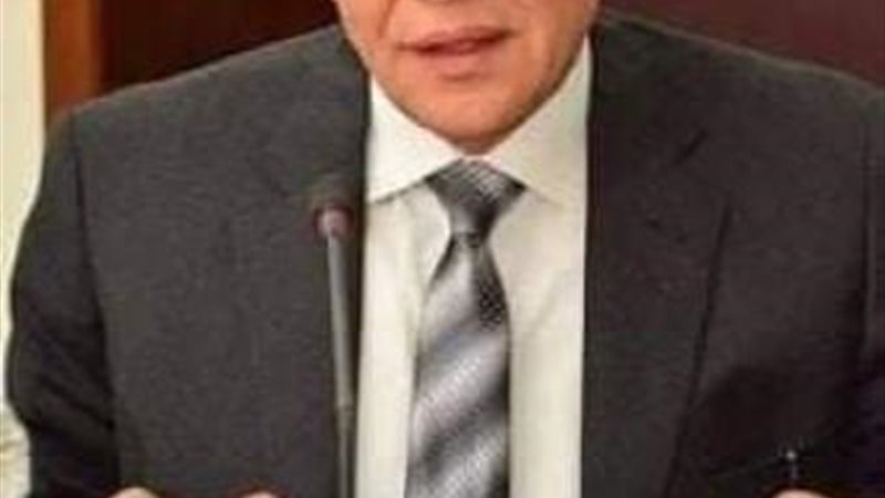 محافظ الجيزة