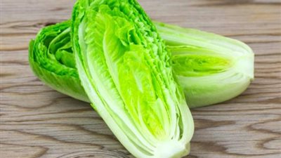 بأسهل الخطوات.. طريقة سحرية لحفظ الخس طازجا في الثلاجة