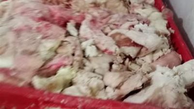 ضبط 9 طن مصنعات دواجن ولحوم مجمدة فاسدة بالجيزة
