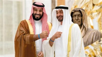 عاجل.. رسالة «دافئة» من محمد بن زايد إلى ولي العهد السعودي