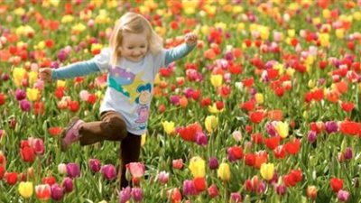 الأرصاد تعلن موعد بدء فصل الربيع .. اعرف التفاصيل