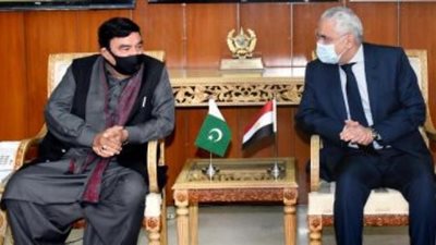 تفاصيل مباحثات وزير داخلية باكستان مع سفير مصر