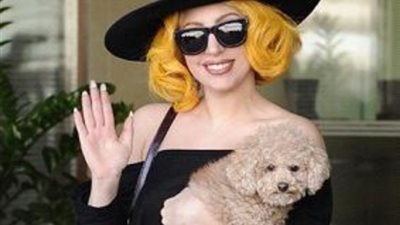 هذا ما فعلته «ليدي جاجا» بعد سرقة كلبتيها