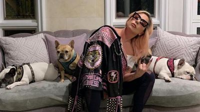 أسرار لا يعرفها أحد عن كواليس خطف كلاب ليدي جاجا.. إليك التفاصيل