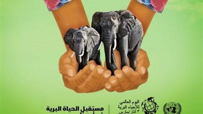 مصر تشارك العالم الاحتفال باليوم العالمى للحياة البرية على منصات السوشيال ميديا