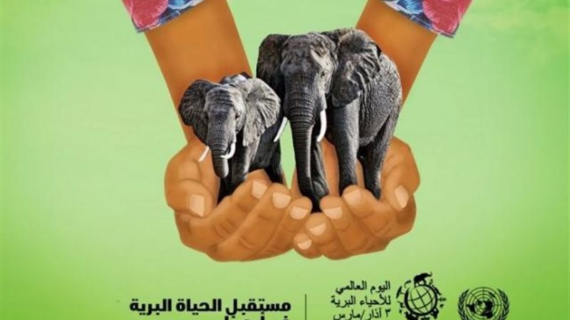 اليوم العالمى للحياة