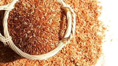 الأرز البني.. الحل السحري لخسارة الوزن