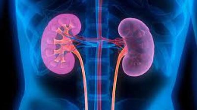 7 طرق للوقاية من التهاب المسالك البولية...منها شرب الماء