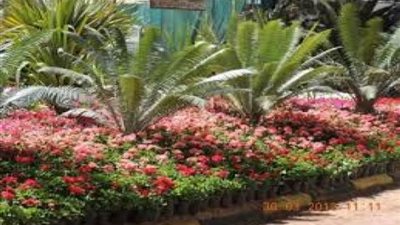 بمشاركة أكثر من 200 عارض.. تعرف على موعد افتتاح معرض زهور الربيع بحديقة الأورمان بالجيزة