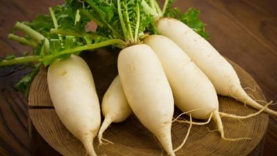 فوائد مثالية تجهلينها عن الفجل الأبيض