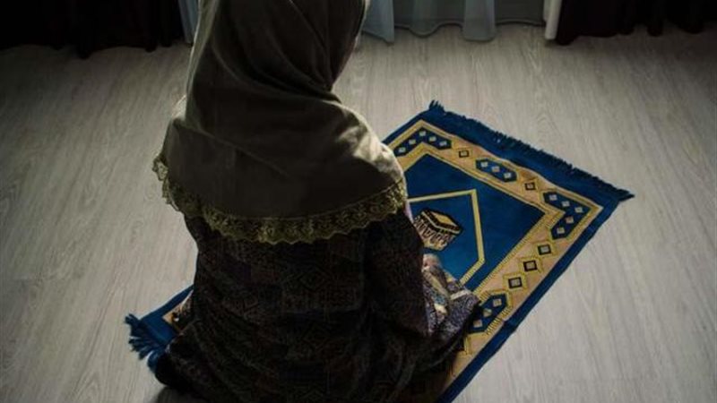 الموجز
