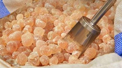 4 فوائد للمستكة...منها التخلص من رائحة الفم الكريهة