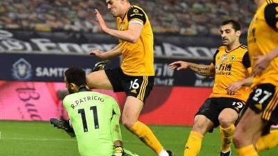 مدرب وولفرهامبتون يكشف تطورات حالة حارس المرمى باتريسيو