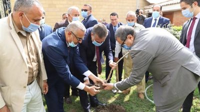 زرع 1500 شجرة زيتون داخل ديوان محافظة المنوفية.. اعرف السبب