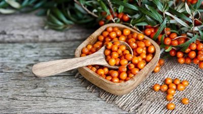 فوائد تجهلينها عن النبق .. تعرفي عليها