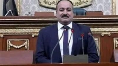 بعد انتقادات قبطية.. أزمة تسجيل شهداء ليبيا تصل إلى البرلمان