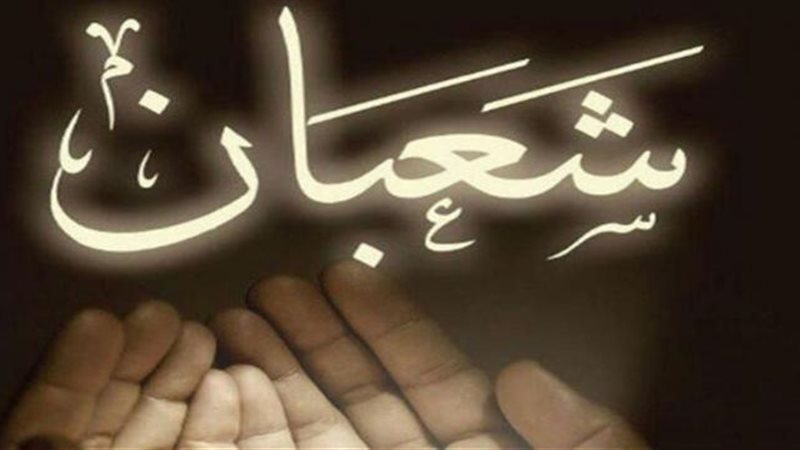 الموجز