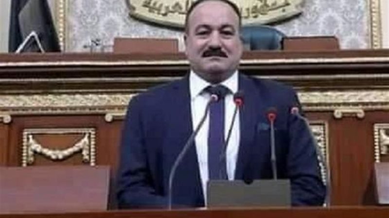 النائب أيمن شكرى