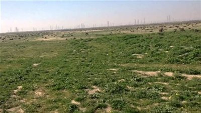 مهلة أخيرة.. الحكومة تحذر ملاك أراضى الحزام الأخضر بأكتوبر