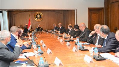 نيفين جامع : الحكومة حريصة على النهوض بقطاع الأخشاب للوفاء باحتياجات الصناعة الوطنية