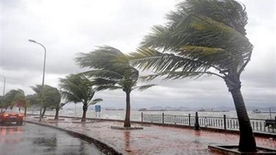 عواصف ورياح عاتية ..إنذار خطير من الأرصاد الجوية بشأن الطقس
