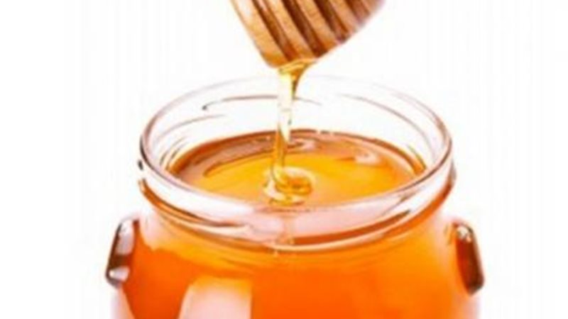 عسل النحل