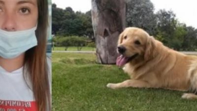 حكاية الفتاة التى تركت وظيفتها وأسرتها للبحث على كلبها المفقود.. إليك التفاصيل