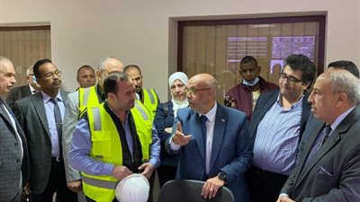 شرق الدلتا لإنتاج الكهرباء: توجهات لإحداث تنمية حقيقة فى شمال سيناء