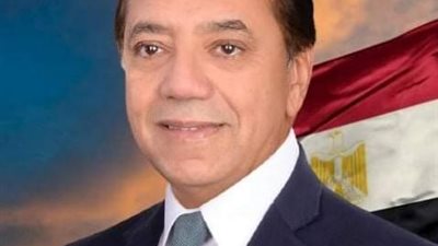 لجنة الشئون الأفريقية بمجلس النواب تطالب بإنشاء لجنة دائمة فى المجلس الأعلى للثقافة خاصة بالشأن الأفريقى