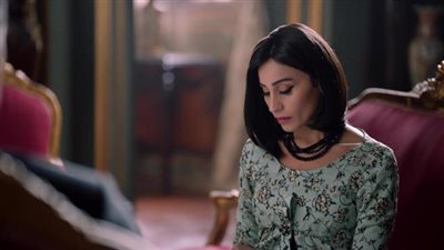 دينا الشربيني تثير الجدل بعد تورطها في جريمة قتل