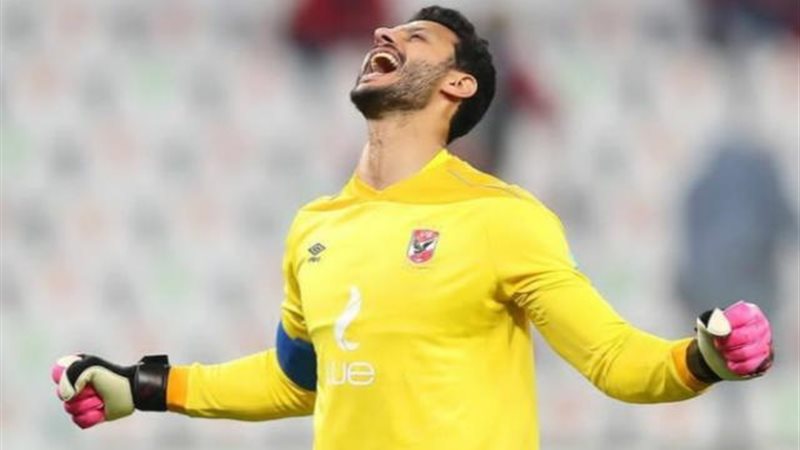 محمد الشناوي