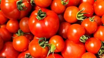 الطماطم تتراوح بين 1.5 و2.5 بسوق العبور اليوم