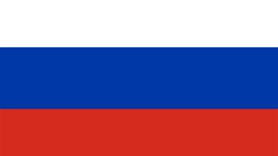 روسيا تستبعد رفع حظر السلاح عن ليبيا قبل الانتخابات