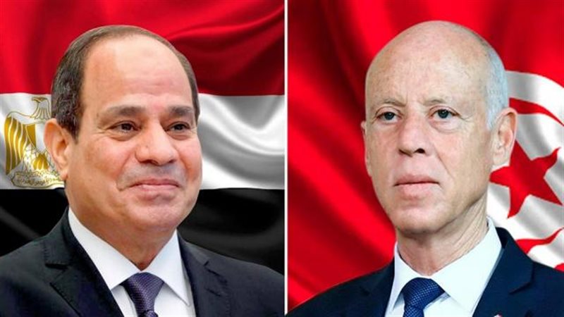 السيسي وقيس سعيد