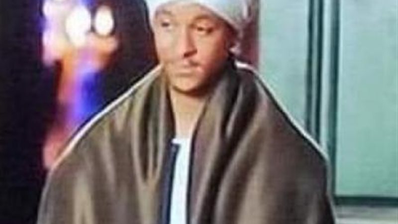 احمد داش