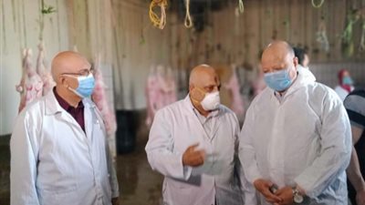 بالصور .. محافظ القاهرة يتفقد مجزر البساتين الآلي
