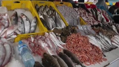 ننشر أسعار الأسماك بالأسواق المحلية اليوم الجمعة