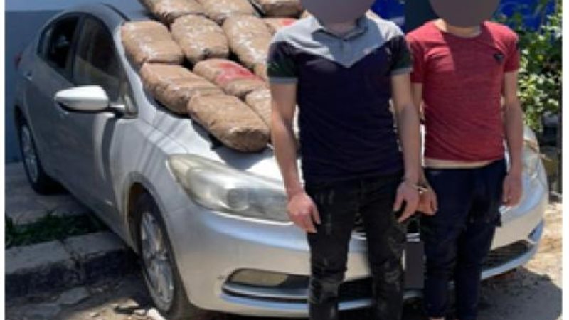 الموجز