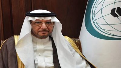 منظمة التعاون الإسلامي تحذر: الإخوان أكثر خطرا من داعش