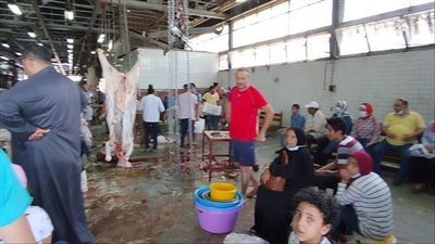 مجازر القاهرة تستقبل أضاحى المواطنين بالمجان