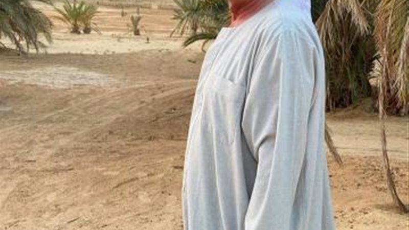 محمود حميدة
