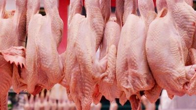 أسعار الدواجن المحلية بالأسواق اليوم