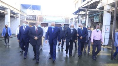 شاهد.. محافظ الجيزة يقدم كشف حساب حملاته في عيد الأضحى