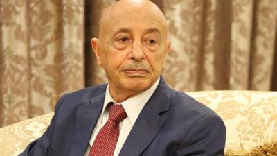 عقيلة صالح : التدخل المصري في ليبيا شرعي لحماية حقوقها وحدودها