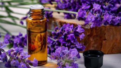 «زيت اللافندر».. الحل السحري للتخلص من الإجهاد والتوتر