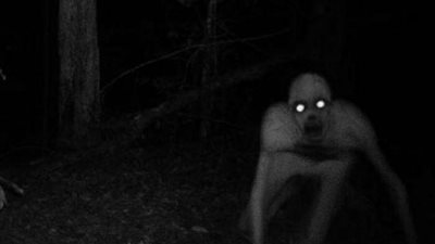 أبرزها متي يغضب؟.. تعرف علي أكثر من 20 معلومة عن ”الجن”